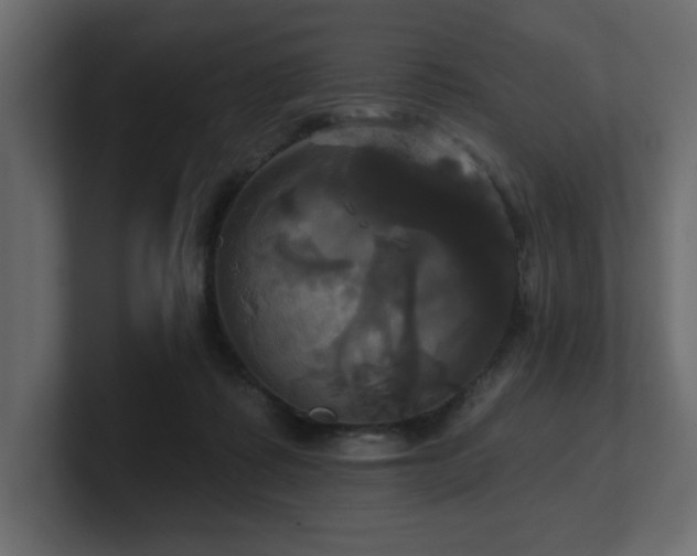 X0000100920315200806241349