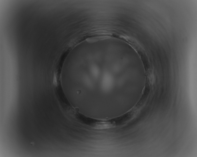 X0000100920316200806241349