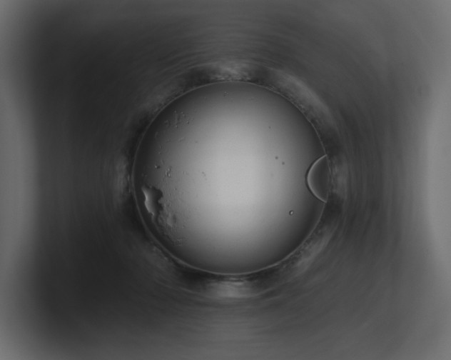 X0000100920318200806241349