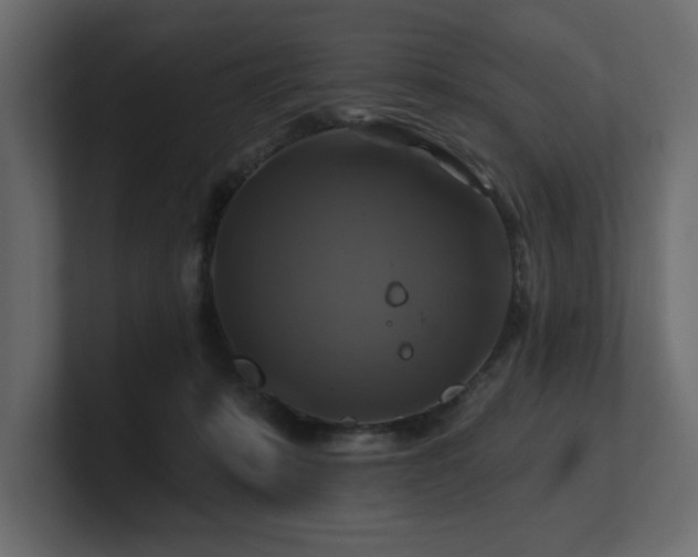 X0000100920319200806241349