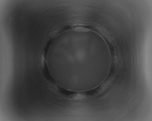 X0000100920320200806241349