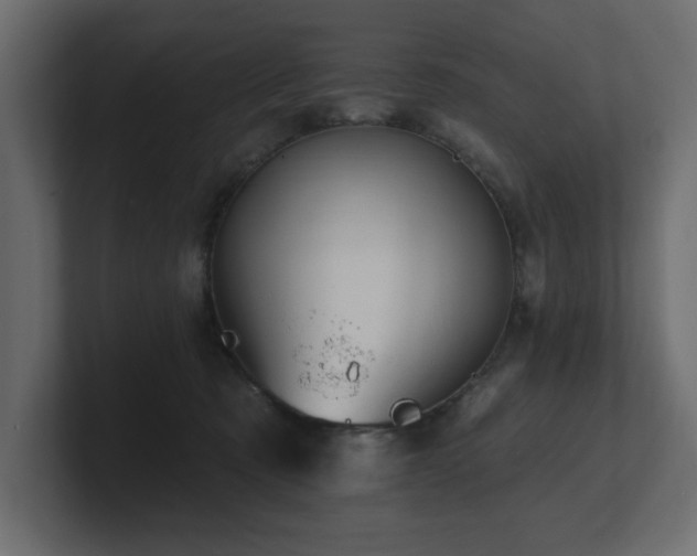 X0000100920321200806241349