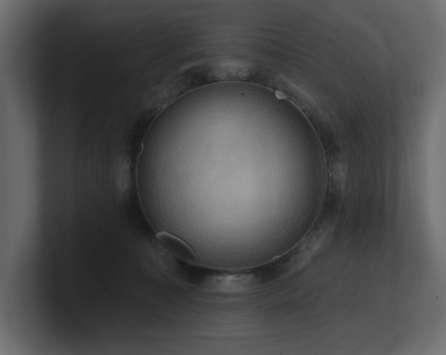 X0000100920323200806241349