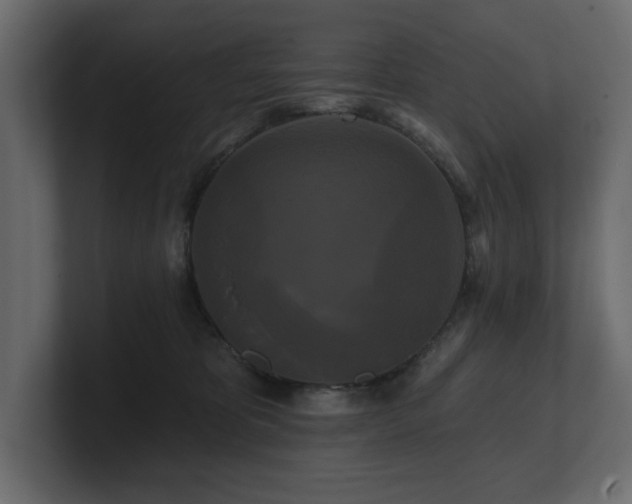 X0000100920325200806241349