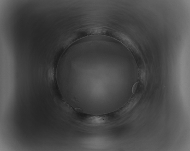 X0000100920326200806241349