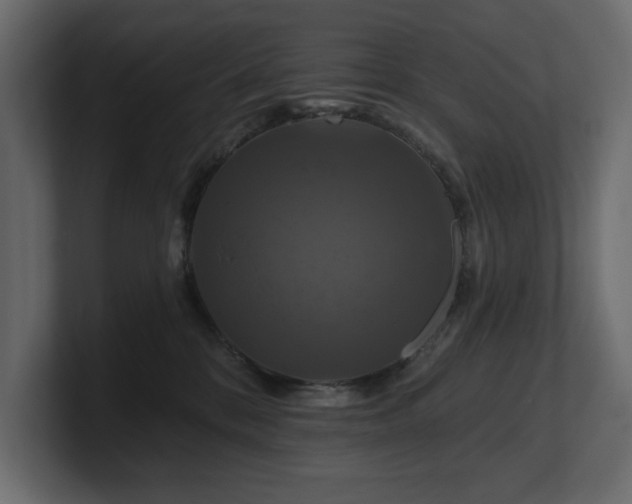 X0000100920328200806241349