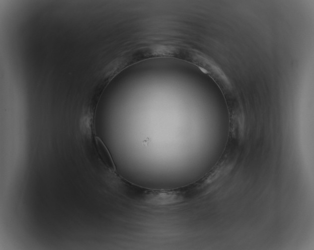 X0000100920329200806241349