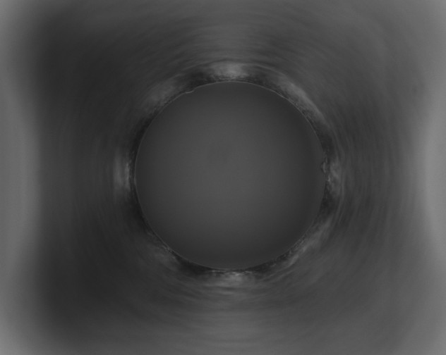 X0000100920330200806241349