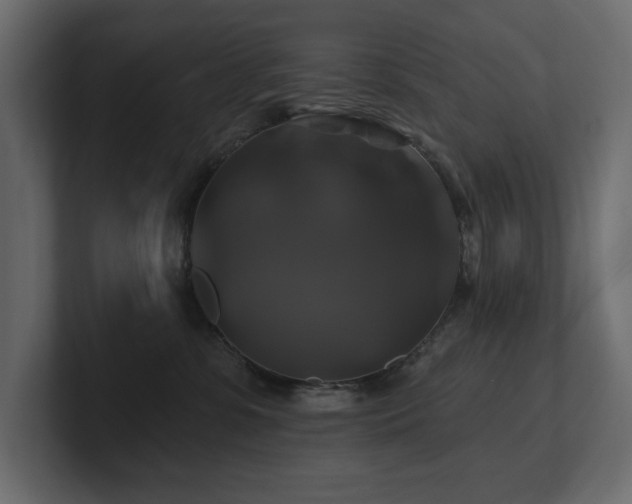 X0000100920331200806241349