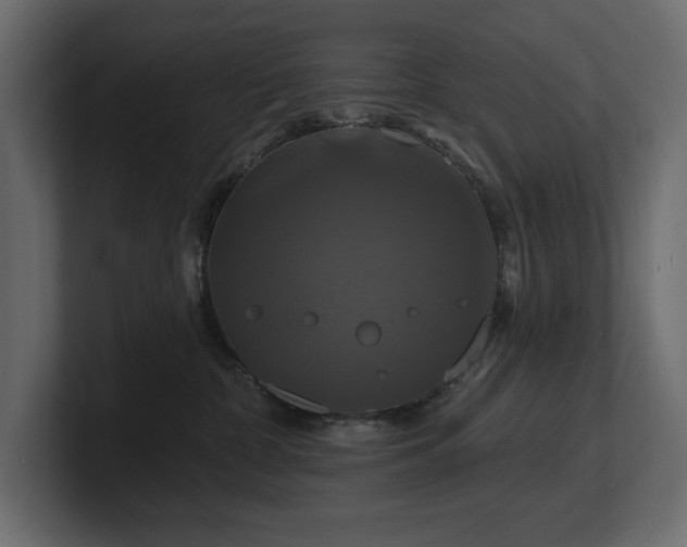 X0000100920332200806241349