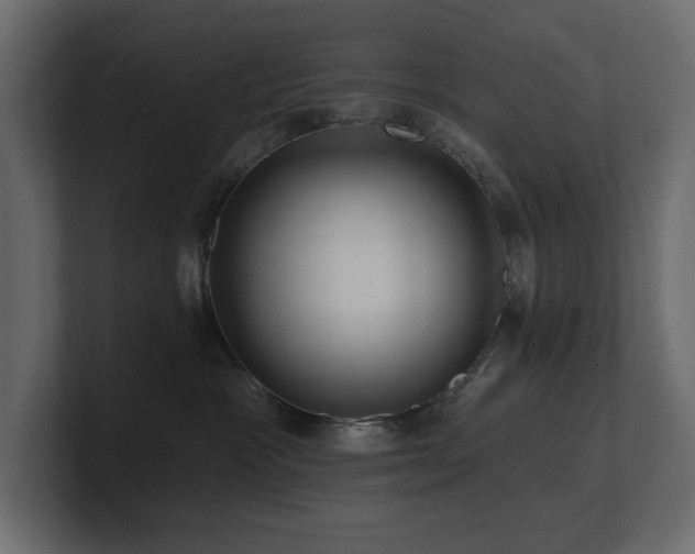 X0000100920333200806241349