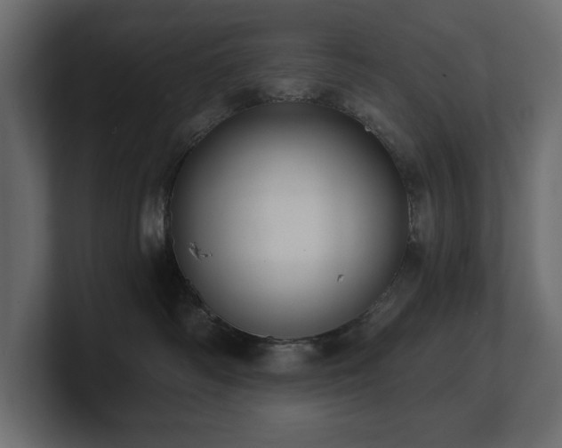 X0000100920334200806241349