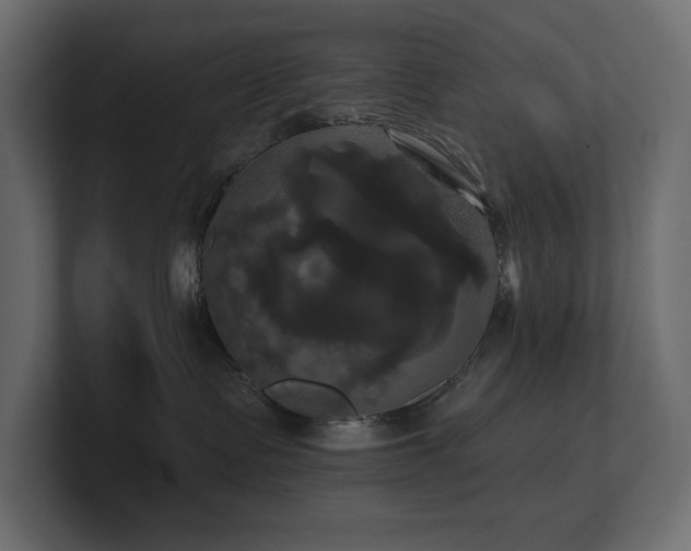 X0000100920335200806241349