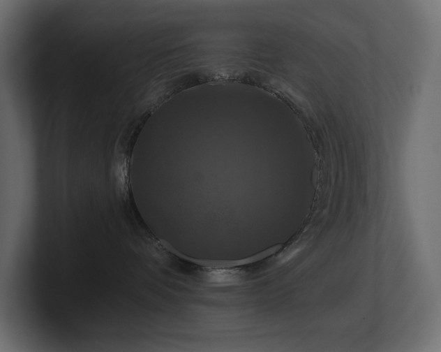 X0000100920336200806241349