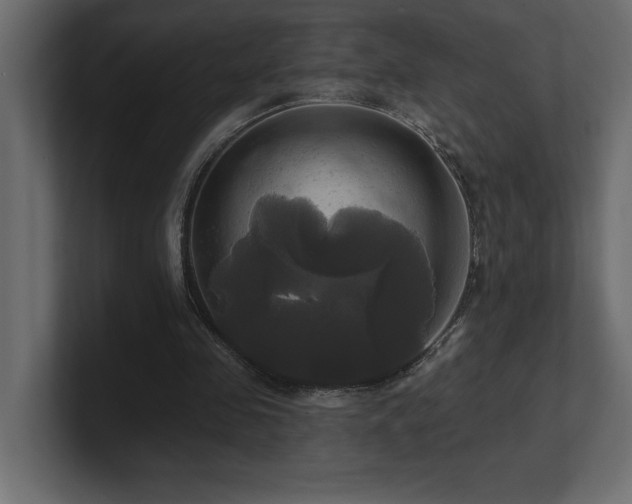 X0000100920341200806241349