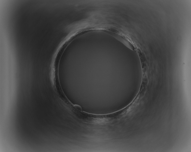 X0000100920342200806241349