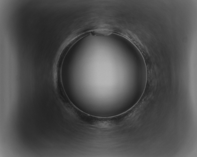 X0000100920344200806241349