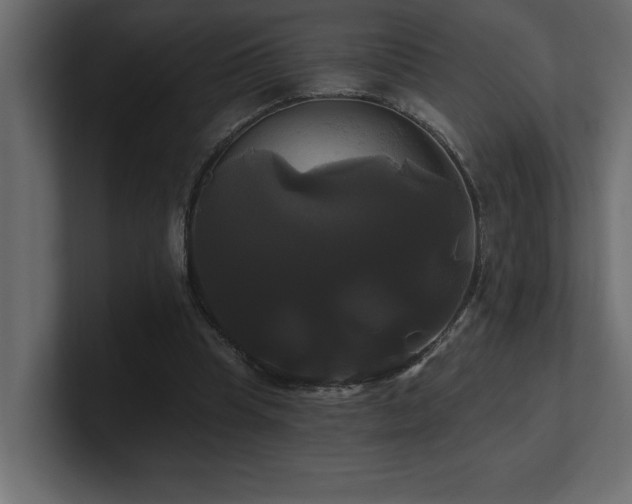 X0000100920345200806241349