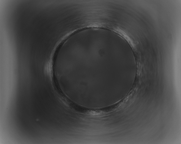 X0000100920346200806241349