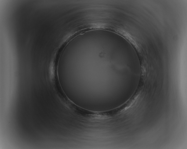 X0000100920347200806241349