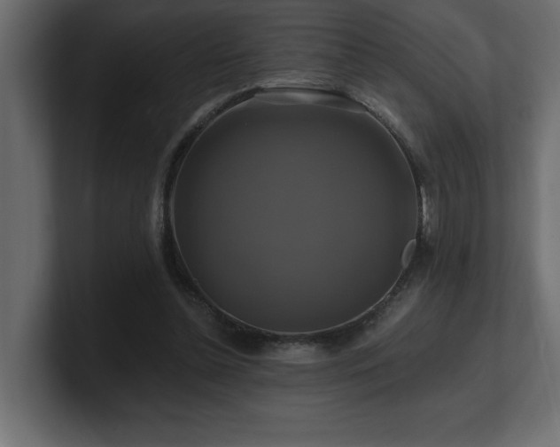 X0000100920348200806241349