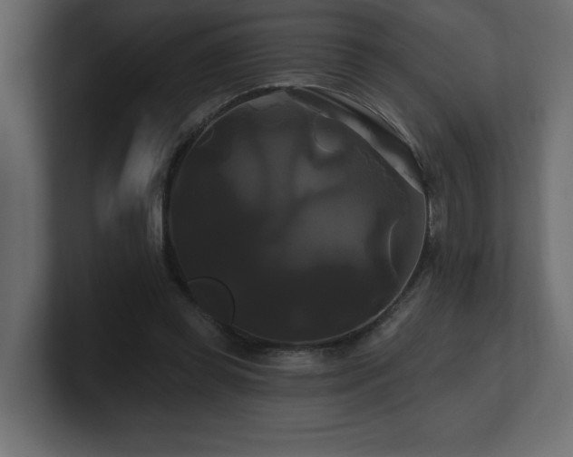 X0000100920349200806241349