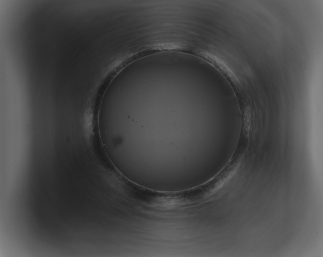 X0000100920351200806241349