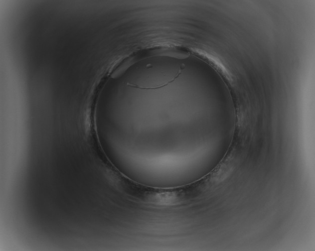 X0000100920353200806241349