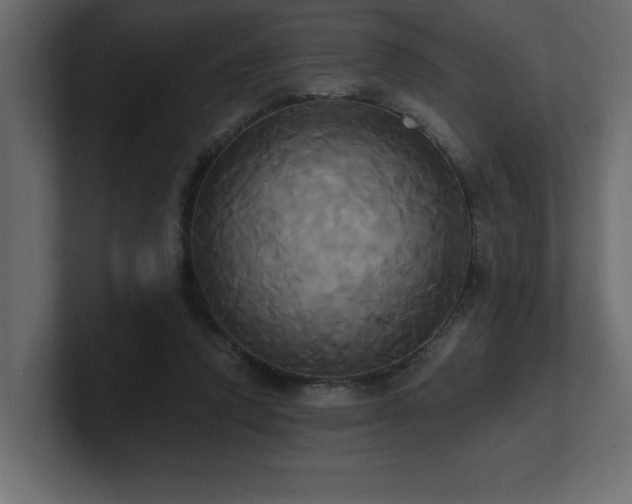 X0000100920354200806241349