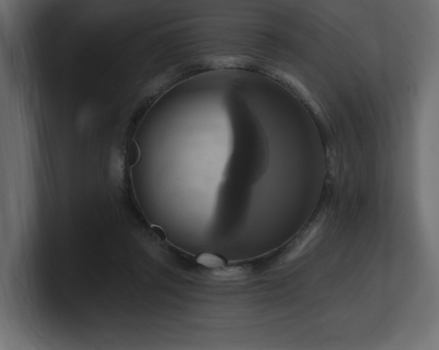 X0000100920357200806241349