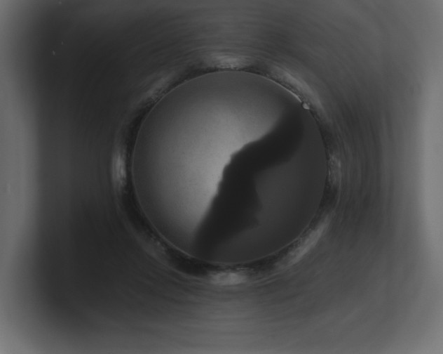 X0000100920358200806241349