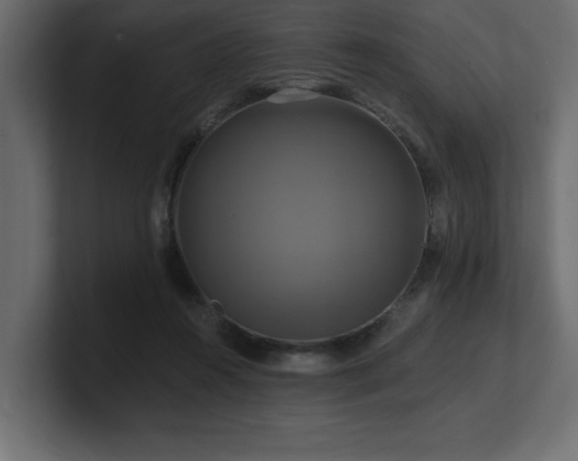 X0000100920360200806241349