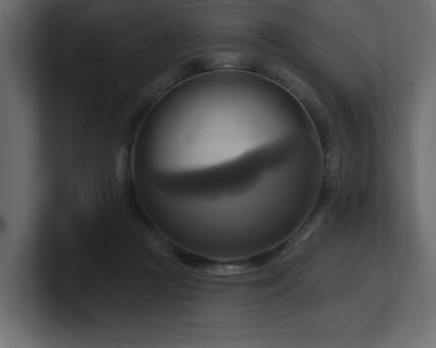 X0000100920361200806241349