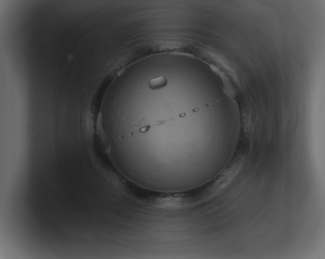 X0000100920362200806241349