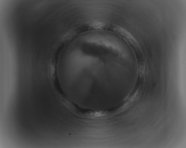 X0000100920365200806241349