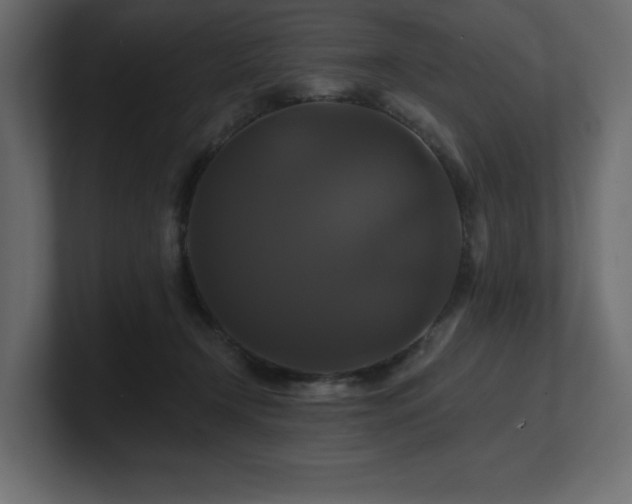 X0000100920366200806241349