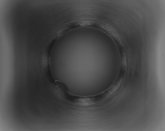 X0000100920367200806241349