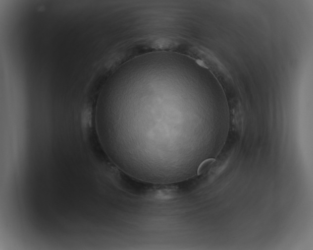 X0000100920368200806241349