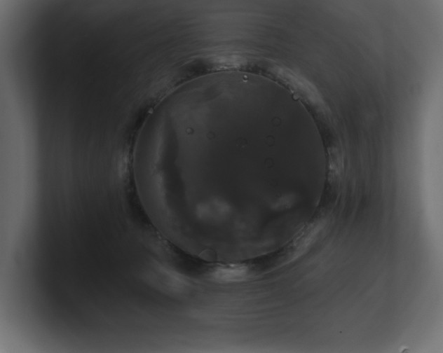 X0000100920369200806241349