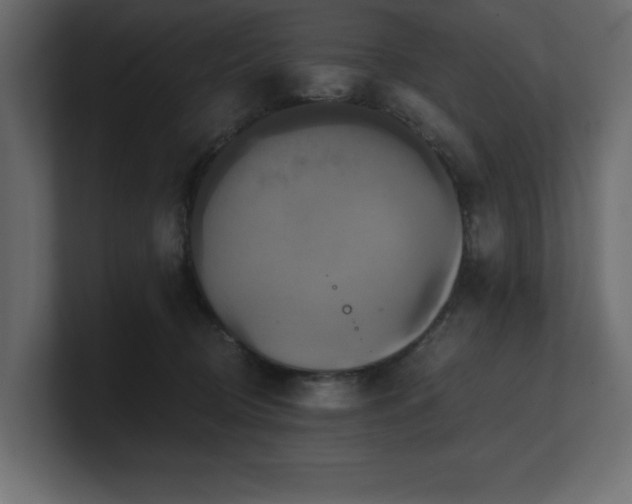 X0000100920370200806241349