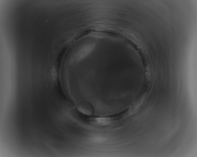 X0000100920371200806241349