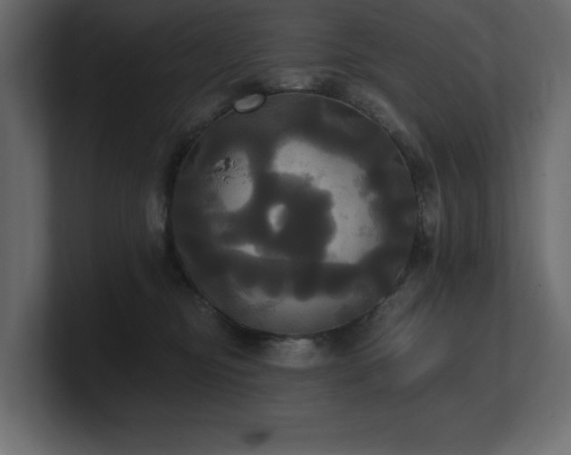 X0000100920374200806241349