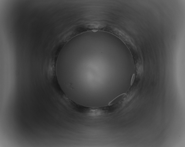 X0000100920376200806241349