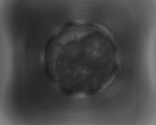 X0000100920377200806241349