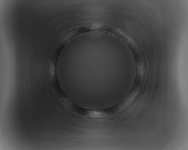 X0000100920380200806241349