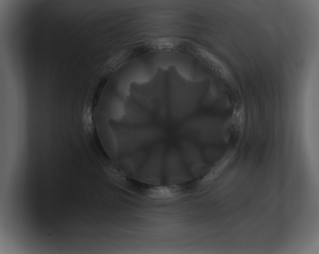 X0000100920381200806241349