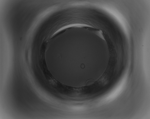 X0000100920382200806241349