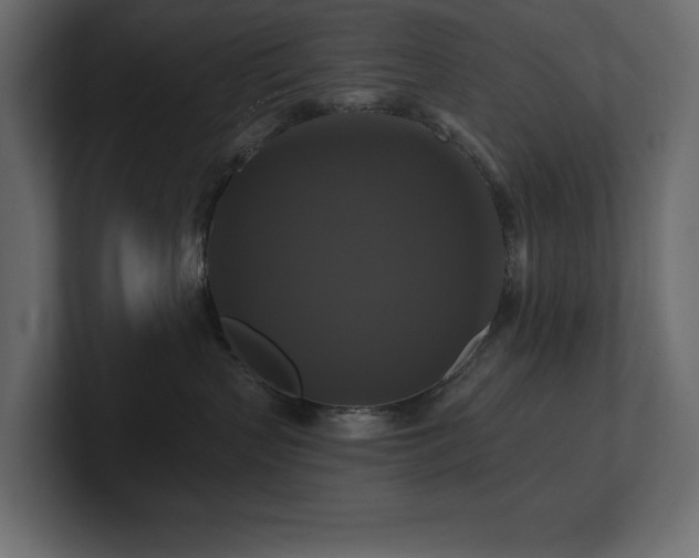 X0000100920383200806241349