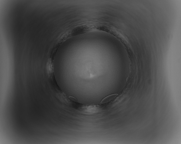 X0000100920384200806241349