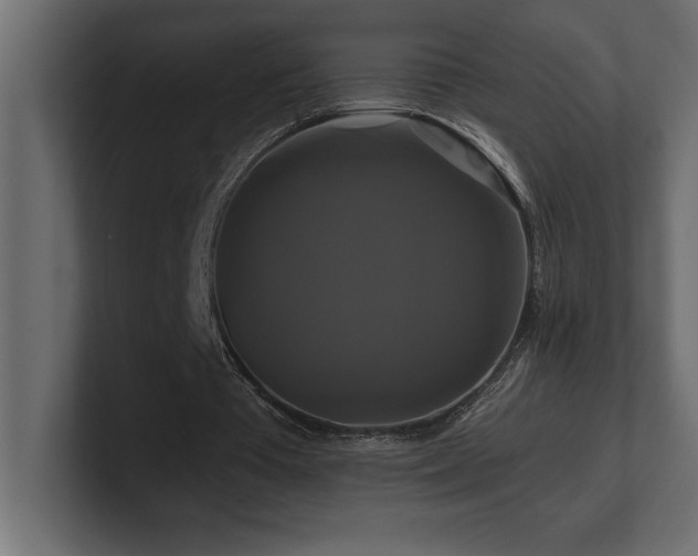 X0000100920385200806241348